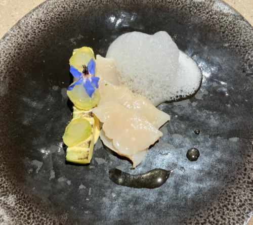 Scallop Ceviche